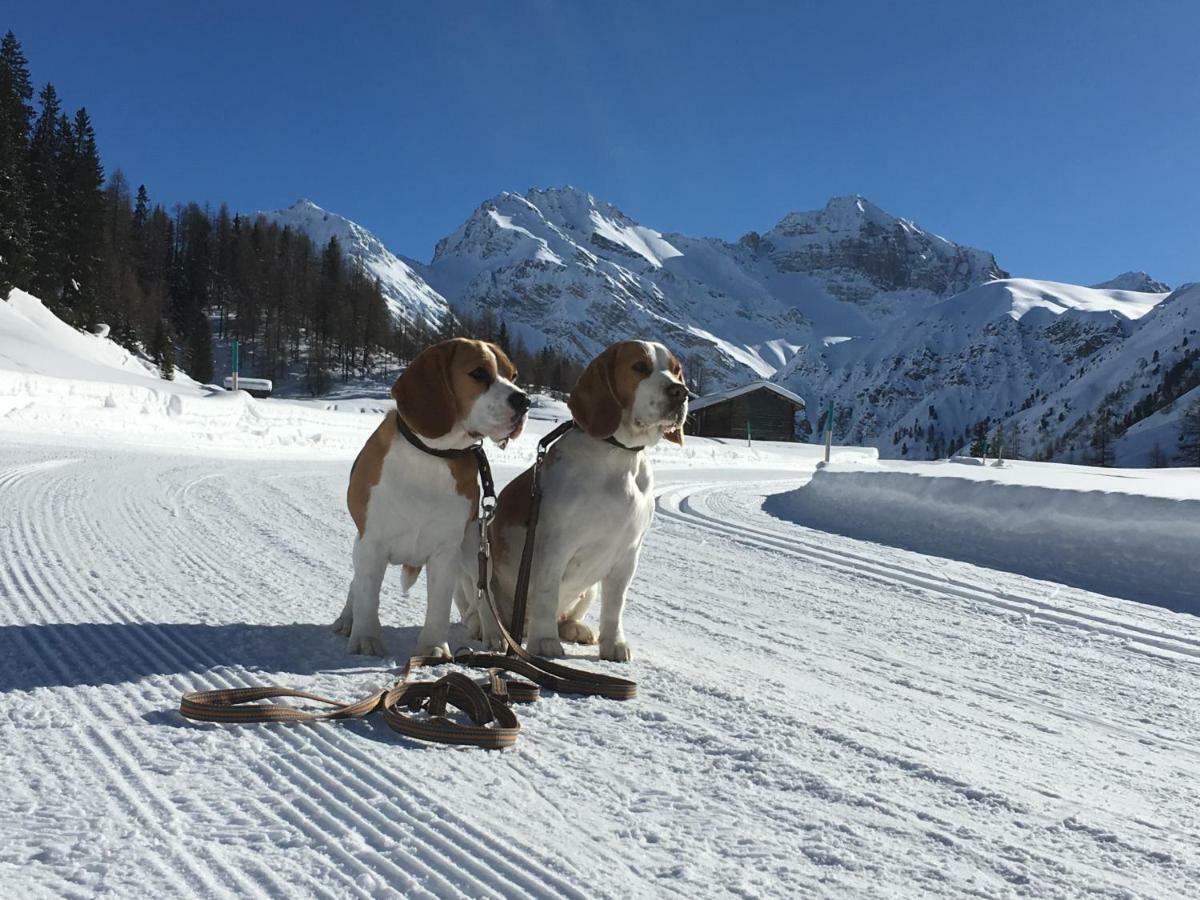 Sertig Ferienwohnung Davos Bagian luar foto